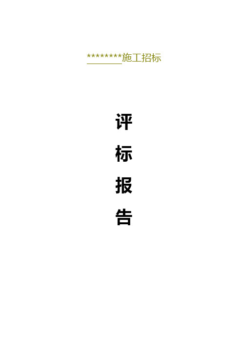 评标报告范本