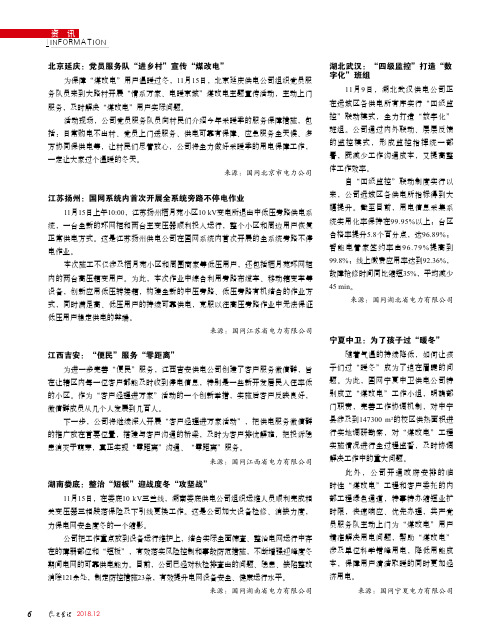 北京延庆：党员服务队“进乡村”宣传“煤改电”