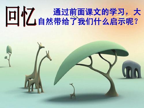 12. 大自然的启示