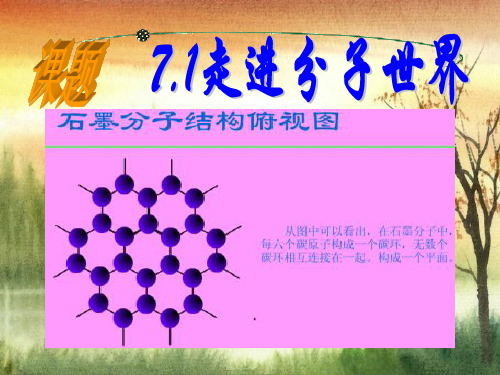 物理八年级下册：7.1《走进分子世界》ppt课件(2)