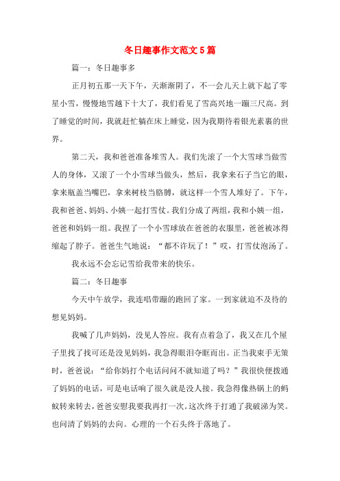 冬日趣事作文范文5篇