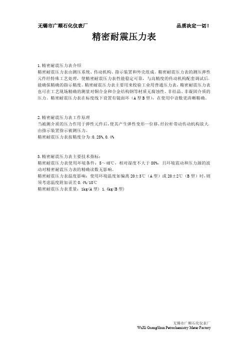 精密耐震压力表