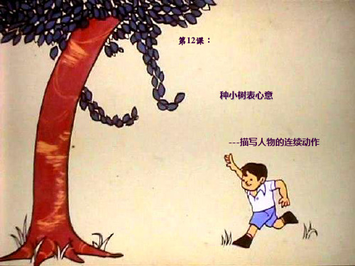 3.12种小树表心意ppt课件