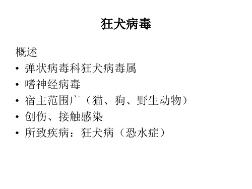 狂犬病毒