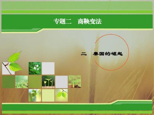 2018年历史同步优化指导人民版选修1课件：专题2-2 秦