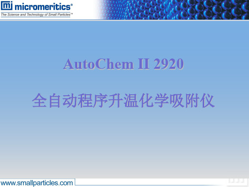 AutoChemII2920详解