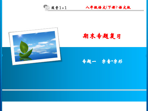 语文版八年级语文下册随堂训练课件 期末专题复习 专题一 字音字形(1)