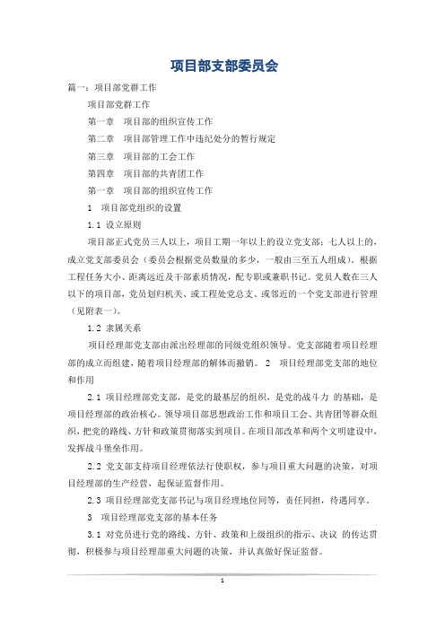 项目部支部委员会