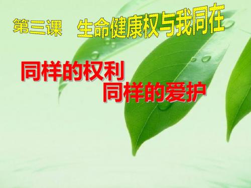 八下三课 同样的权利同样的爱护课件