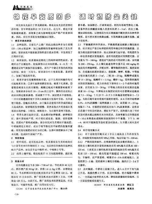棉花早衰原因多 适时预防是关键