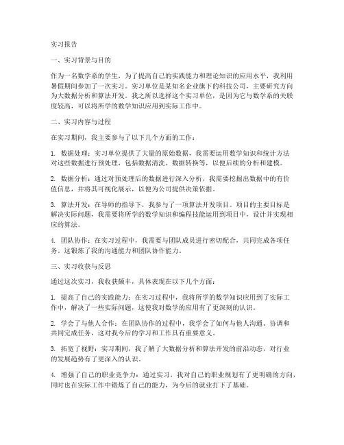 数学系实习报告