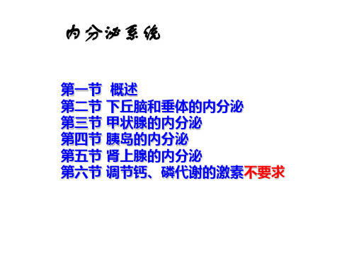 生理学--内分泌系统