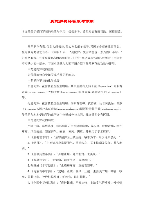 曼陀罗花的功效与作用