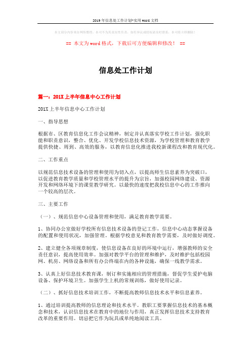 2019年信息处工作计划-实用word文档 (6页)