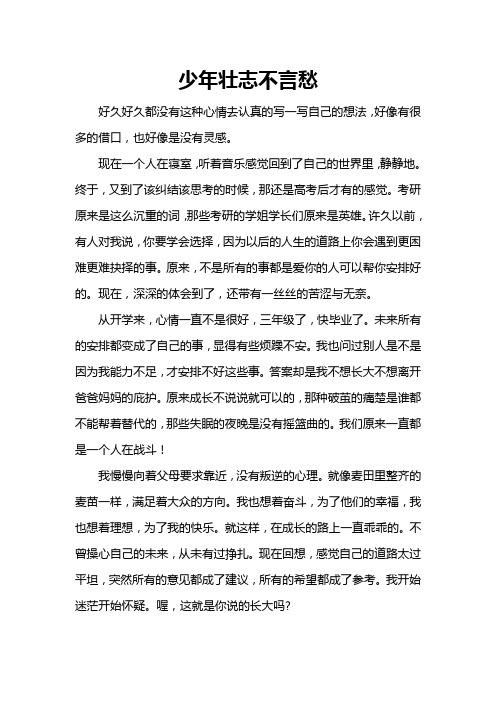 少年壮志不言愁
