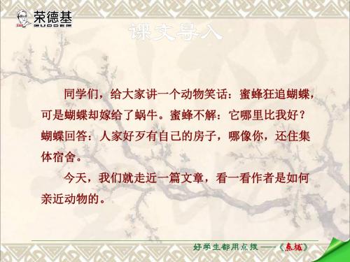 七年级语文上册第五单元第19课《动物笑谈》课件新人教版