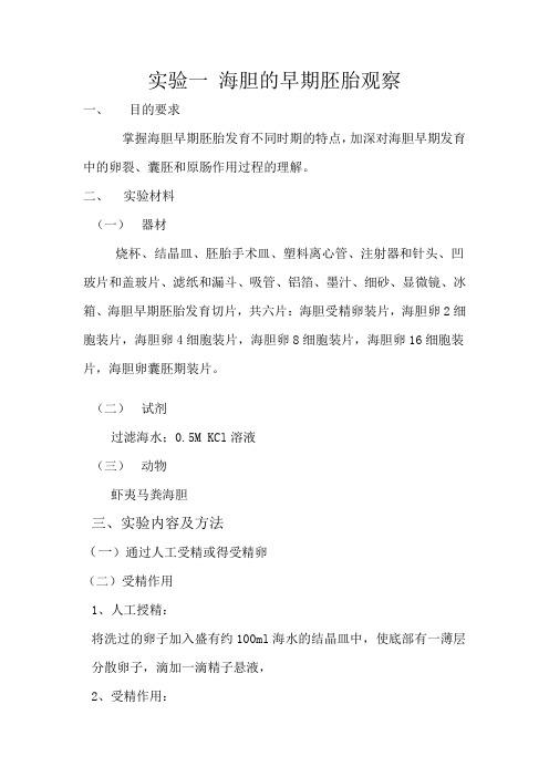 实验一 海胆的早期胚胎观察