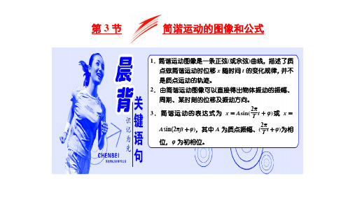 第一章 第3节 简谐运动的图像和公式