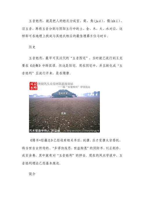 陈益峰谈风水五音姓利学说