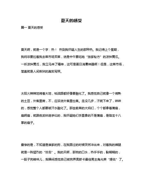 作文《夏天的感受》