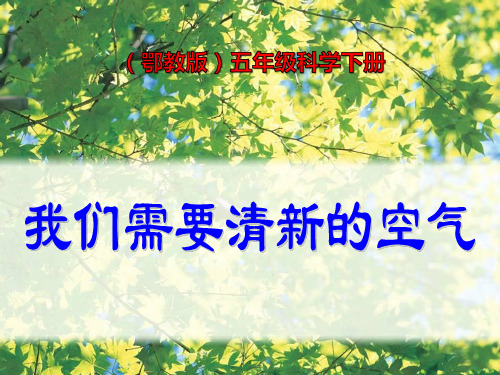 《我们需要清新的空气》PPT课件3