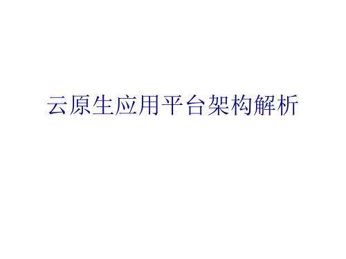 云原生应用平台架构解析