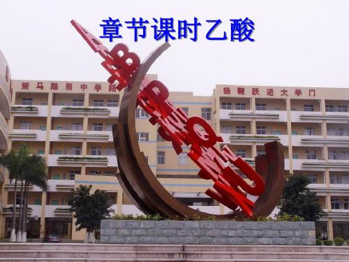 化学课件《生活中两种常见的有机物——乙酸》优秀ppt3 人教课标版