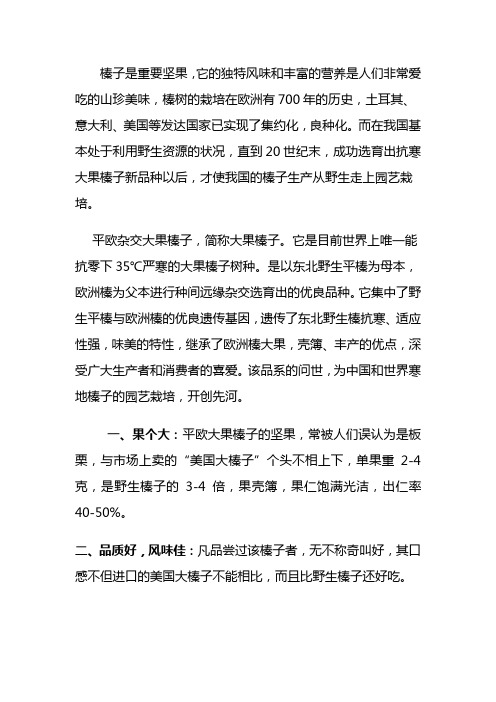 大果榛子资料
