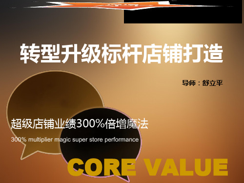 转型升级标杆店铺打造.pptx
