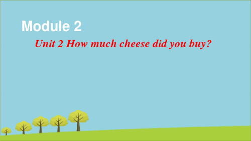 五年级英语上册Unit 2 How much cheese did you buy