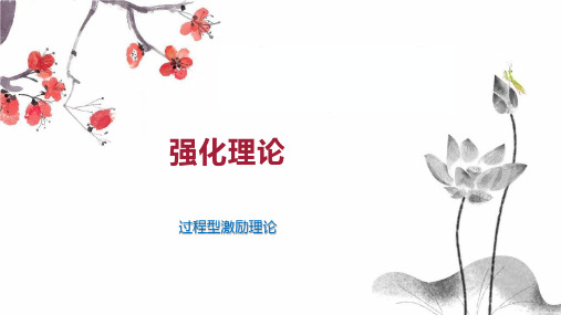 强化理论    