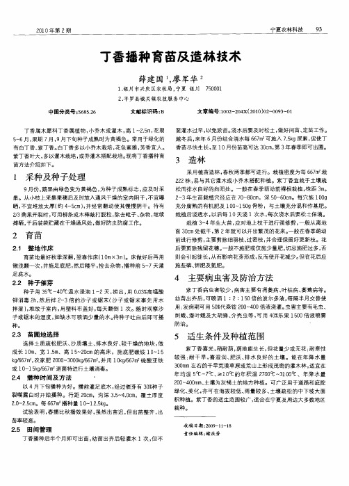 丁香播种育苗及造林技术