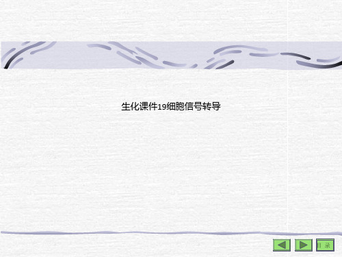 生化课件19细胞信号转导