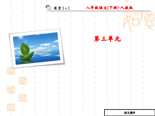 (人教版)八年级下：3.12《罗布泊,消逝的仙湖》随堂作业
