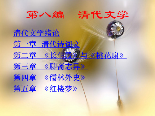 清代文学PPT教学课件