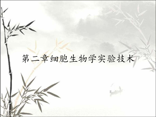 第二章细胞生物学实验技术
