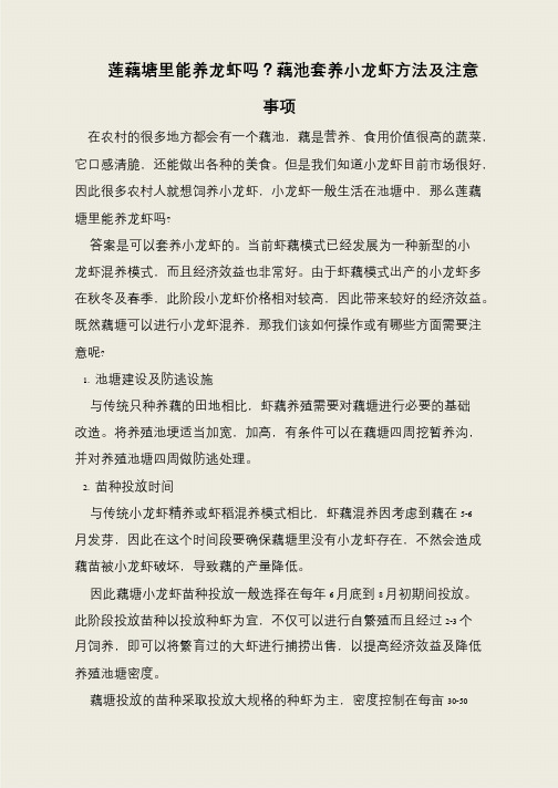 莲藕塘里能养龙虾吗？藕池套养小龙虾方法及注意事项