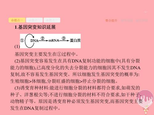 2018届新课标高三生物二轮复习专题整合高频突破专题四遗传变异和进化_变异育种和进化课件
