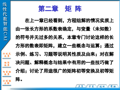 《线性代数》第一节矩阵
