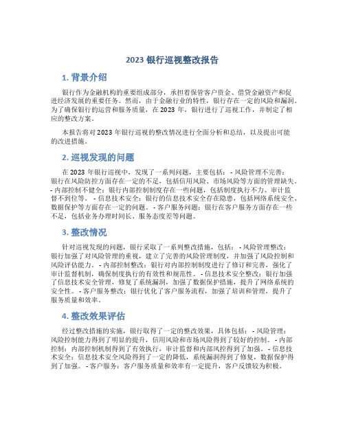 2023银行巡视整改报告