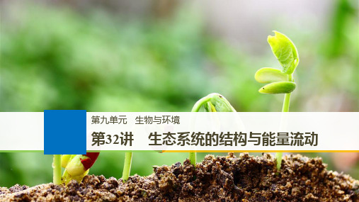 2019届高三一轮复习备考生物苏教专版一体资料课件：第九单元 生物与环境 第32讲 