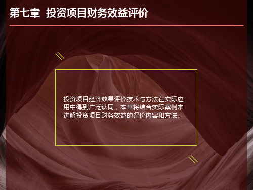 投资项目财务效益评估