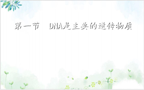 人教版高中生物必修二DNA是主要的遗传物质(27张)-PPT优秀课件
