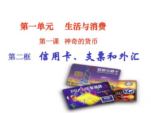 1.2信用工具和外汇(2015最新)
