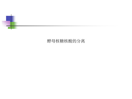 酵母核糖核酸的分离