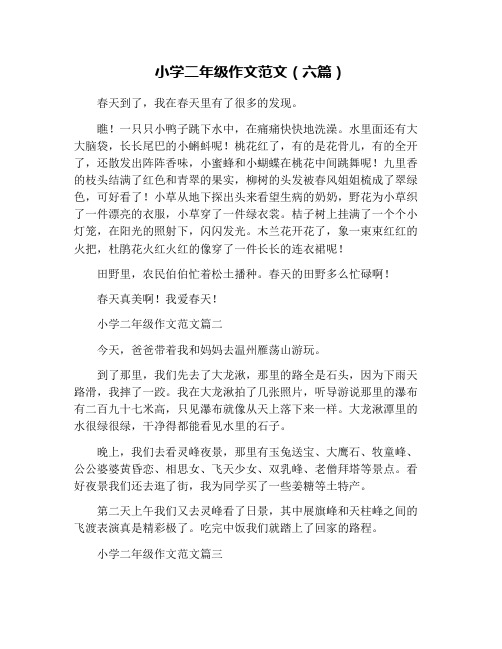 小学二年级作文范文(六篇)