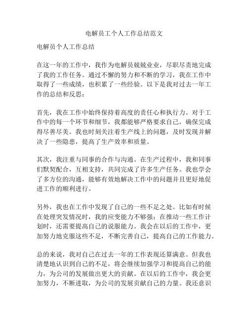 电解员工个人工作总结范文
