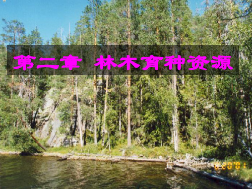 第二章林木育种资源