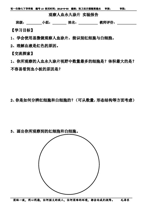 实验报告--观察人血永久涂片+观察血液的流动