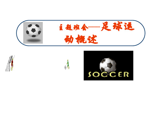 人教版高三第二学期足球主题班会-PPT课件..(共18张PPT)